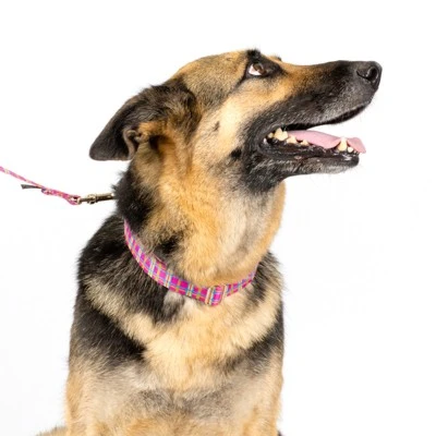 Country Brook Petz Premium Bubblegum Pink Plaid Dog Collar And Leash 4 Country Brook Petz Premium Bubblegum Pink Plaid Dog Collar And Leash - Image 2