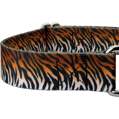 Country Brook Petz - Bengal Tiger Stripes Martingale Dog Collar 5 Country Brook Petz - Bengal Tiger Stripes Martingale Dog Collar - Image 3