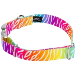 Country Brook Petz Premium Fashion Zebra Dog Collar -Pet Shop GUEST 0f74cc68 b988 487d 96c7 1bf349842351