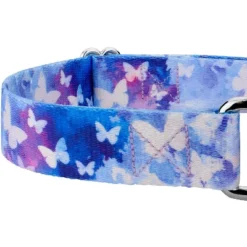 Country Brook Petz - Watercolor Butterflies Martingale Dog Collar -Pet Shop GUEST 0f772ab0 99e1 4a24 8b85 63274566c8f9