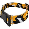 Country Brook Petz HossFit Jr Wide Deluxe Dog Collar - Sports And Athletics Collection -Pet Shop GUEST 0fa7bb05 6bc2 466d b9cc d623d89c0d20