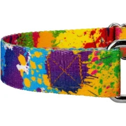 Country Brook Petz Paint Splatter Martingale Dog Collar 10 Country Brook Petz Paint Splatter Martingale Dog Collar -Pet Shop GUEST 106439ed a346 44b1 9561 811f5d5f1f3a