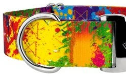 Country Brook Petz 1 1/2 Inch Premium Paint Splatter Dog Collar -Pet Shop GUEST 10d715de af8c 4373 87e5 dda7c28e735f