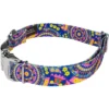 Country Brook Petz Premium Dog Collar - Groovy Collection 2 Country Brook Petz Premium Dog Collar - Groovy Collection -Pet Shop GUEST 10e11ad6 bc8d 4a97 b578 3d54c7069afe