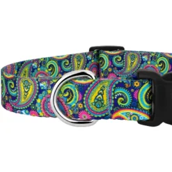 Country Brook Petz Deluxe Bright Paisley Dog Collar And Leash -Pet Shop GUEST 11457862 b3a6 4bc0 9143 74d97104e825