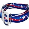 Country Brook Petz 1 1/2 Inch Premium Star Spangled Dog Collar -Pet Shop GUEST 116d9db5 509b 43b8 afb0 64e871e633a0