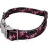 Country Brook Petz Premium Pink Honeysuckle Breeze Dog Collar -Pet Shop GUEST 11a06798 6891 43ef a002 f253cf5ed960