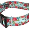 Country Brook Petz 1 1/2 Inch Deluxe Vintage Roses Dog Collar -Pet Shop GUEST 1224479e f72e 4317 a653 fedea58f0972