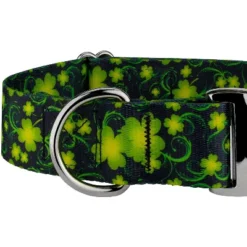 Country Brook Petz HossFit Jr Wide Premium Dog Collar - Irish Pride Collection -Pet Shop GUEST 13ec42da 8280 4112 8941 b5e67cbf5b9d