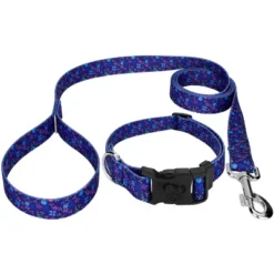 Country Brook Petz Deluxe Blueberry Fields Dog Collar And Leash -Pet Shop GUEST 1515fdee 4b17 41a9 9cec a84d6d198b33