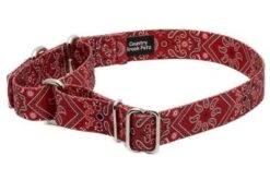 Country Brook Petz Red Bandana Martingale Dog Collar -Pet Shop GUEST 1538919c 28ff 4196 8582 bfdffa15ea5b