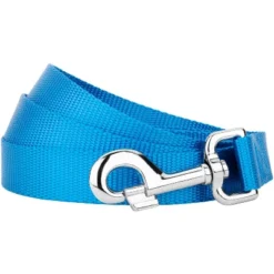 Country Brook Petz 6ft By 1 Inch Heavyduty Doublehandle Nylon Leash -Pet Shop GUEST 1558f91f d48b 4b47 bef5 ee9f3b54008a