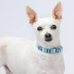 Country Brook Petz Snowy Pines Martingale Dog Collar -Pet Shop GUEST 1588af47 a90b 41bd b04d 2018cef8b57a