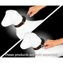 Country Brook Petz - 1 Inch Nylon Dog Leash -Pet Shop GUEST 158b400a 69ae 4677 8ac1 6817e7a9af58