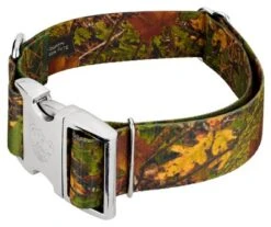 Country Brook Petz 1 1/2 Inch Premium Southern Forest Camo Dog Collar