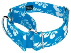 Country Brook Petz 1 1/2 Inch Blue Hawaiian Martingale Dog Collar