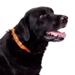 Country Brook Petz Orange Sunset Camo Martingale Dog Collar 12 Country Brook Petz Orange Sunset Camo Martingale Dog Collar -Pet Shop GUEST 1739dc87 3139 4c7c a42d 5f80a5368c4d 1