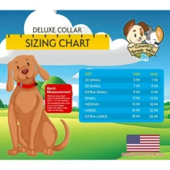 Country Brook Petz Deluxe American Celebration Dog Collar - Made In The U.S.A. (1 Inch, Medium)