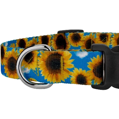 Country Brook Petz Deluxe Dog Collar - Floral Collection 6 Country Brook Petz Deluxe Dog Collar - Floral Collection - Image 4