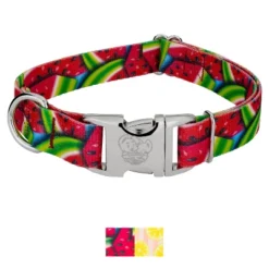 Country Brook Petz Premium Dog Collar - Tasty Collection -Pet Shop GUEST 17e85f82 2985 47d7 9e5e dee84afa5598