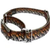 Country Brook Petz - Bengal Tiger Stripes Martingale Dog Collar 1 Country Brook Petz - Bengal Tiger Stripes Martingale Dog Collar -Pet Shop GUEST 1839cef7 5e8e 408c 8a91 f343b5675189