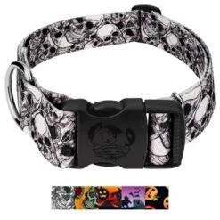 Country Brook Petz HossFit Jr Wide Deluxe Dog Collar - Halloween Collection -Pet Shop GUEST 19b44fc8 aa62 45cc b920 56c300cf002d