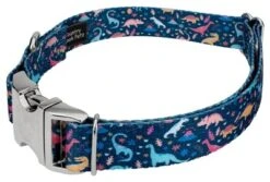 Country Brook Petz Premium Dinosaurs Dog Collar -Pet Shop GUEST 1a4c3292 4d4f 4db6 8ac2 8e5537dd4b33