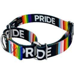 Country Brook Petz Pride Martingale Dog Collar