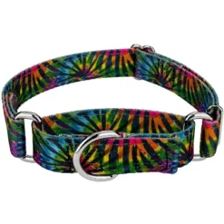 Country Brook Petz Reflective Martingale Dog Collar -Pet Shop GUEST 1a624865 a4fc 4949 8a74 59765d8a17e1