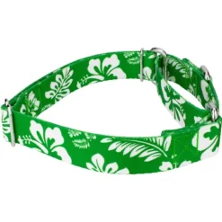 Country Brook Petz Kelly Green Hawaiian Martingale Dog Collar -Pet Shop GUEST 1aa2df7f 2405 4f13 9734 37db7461b3f9