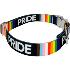 Country Brook Petz Premium Pride Dog Collar -Pet Shop GUEST 1bae7a4f b8bd 4bb9 a851 7ee914148423 1
