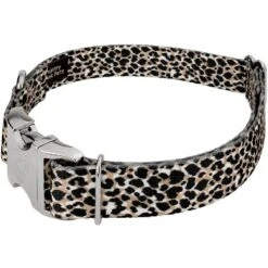 Country Brook Petz Premium Cheetah Dog Collar