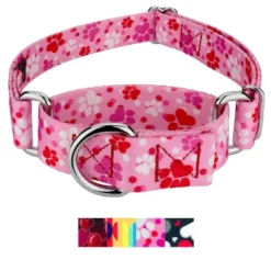 Country Brook Petz Martingale Dog Collar - Affection Collection -Pet Shop GUEST 1c2dd573 63d8 4b18 8fb8 a1f203656882