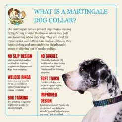 Country Brook Petz HossFit Jr Wide Martingale Dog Collar - Chevron And Arrows Collection -Pet Shop GUEST 1d1b27d0 6fc2 4740 84e9 81e94eea5488