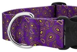 Country Brook Petz 1 1/2 Inch Deluxe Purple Paisley Dog Collar -Pet Shop GUEST 1d3c2c3d 0f5d 433e 903d 519f88b13754