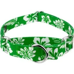 Country Brook Petz Kelly Green Hawaiian Martingale Dog Collar -Pet Shop GUEST 1d9b3059 f396 4674 ac8f 6a363115d1fa