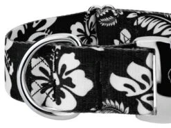 Country Brook Petz 1 1/2 Inch Premium Black Hawaiian Dog Collar -Pet Shop GUEST 1dadb258 41a3 4ae4 953e c7f08e97cad0