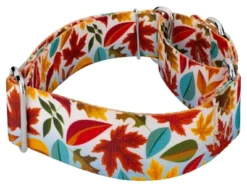 Country Brook Petz 1 1/2 Inch Brisk Autumn Martingale Dog Collar -Pet Shop GUEST 1e4aed53 f347 400c 8625 55e600bf9908