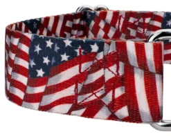 Country Brook Petz 1 1/2 Inch Patriotic Tribute Martingale Dog Collar -Pet Shop GUEST 1e4f9000 b27b 45f1 af82 31cae5c09ec4