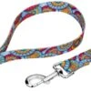 Country Brook Petz Sky Mandala Dog Leash (4 Foot, 5/8 Inch Wide) -Pet Shop GUEST 1e552f2b ac68 4641 b28d 38ce2a28c7b6 1