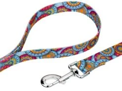 Country Brook Petz Sky Mandala Dog Leash (4 Foot, 5/8 Inch Wide)
