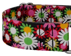 Country Brook Petz 1 1/2 Inch Daisy Fields Martingale Dog Collar 13 Country Brook Petz 1 1/2 Inch Daisy Fields Martingale Dog Collar -Pet Shop GUEST 1e77fd8d 68b0 4002 b319 8cdc57ab91e9