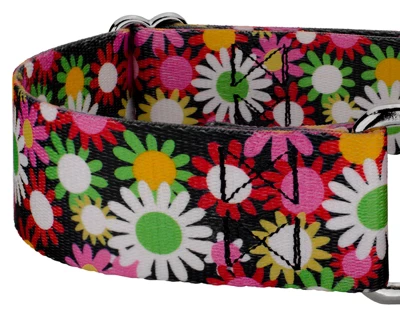 Country Brook Petz 1 1/2 Inch Daisy Fields Martingale Dog Collar 7 Country Brook Petz 1 1/2 Inch Daisy Fields Martingale Dog Collar - Image 5