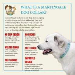 Country Brook Petz HossFit Jr Wide Martingale Dog Collar - Spring Collection -Pet Shop GUEST 1ed76aee 5184 4b14 bfc4 75cfcec983e4