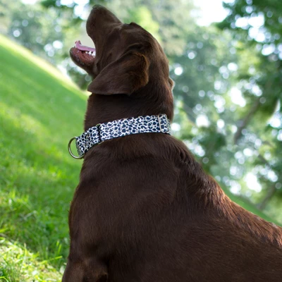 Country Brook Petz HossFit Jr Wide Martingale Dog Collar - Animal Print Collection 4 Country Brook Petz HossFit Jr Wide Martingale Dog Collar - Animal Print Collection - Image 2