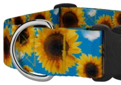 Country Brook Petz 1 1/2 Inch Deluxe Sunflowers Dog Collar 11 Country Brook Petz 1 1/2 Inch Deluxe Sunflowers Dog Collar -Pet Shop GUEST 1f294997 12ce 4443 b1f8 45e8454b905c