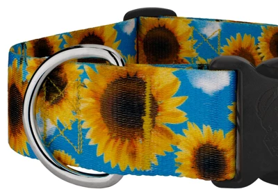 Country Brook Petz 1 1/2 Inch Deluxe Sunflowers Dog Collar 6 Country Brook Petz 1 1/2 Inch Deluxe Sunflowers Dog Collar - Image 4