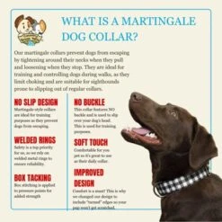 Country Brook Petz HossFit Wide Martingale Dog Collar Collection -Pet Shop GUEST 1f430858 0007 4ce4 924f 60c5af817f58