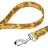 Country Brook Petz Tropical Floral Dog Leash (6 Foot, 1/2 Inch) -Pet Shop GUEST 1f580f87 3f4d 4697 aade ba9adccdb2bf 2
