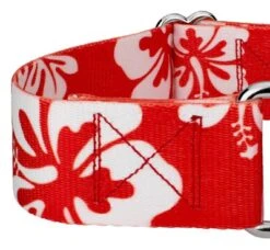 Country Brook Petz 1 1/2 Inch Red Hawaiian Martingale Dog Collar -Pet Shop GUEST 1fea6537 b819 41a1 af06 760c0037166e